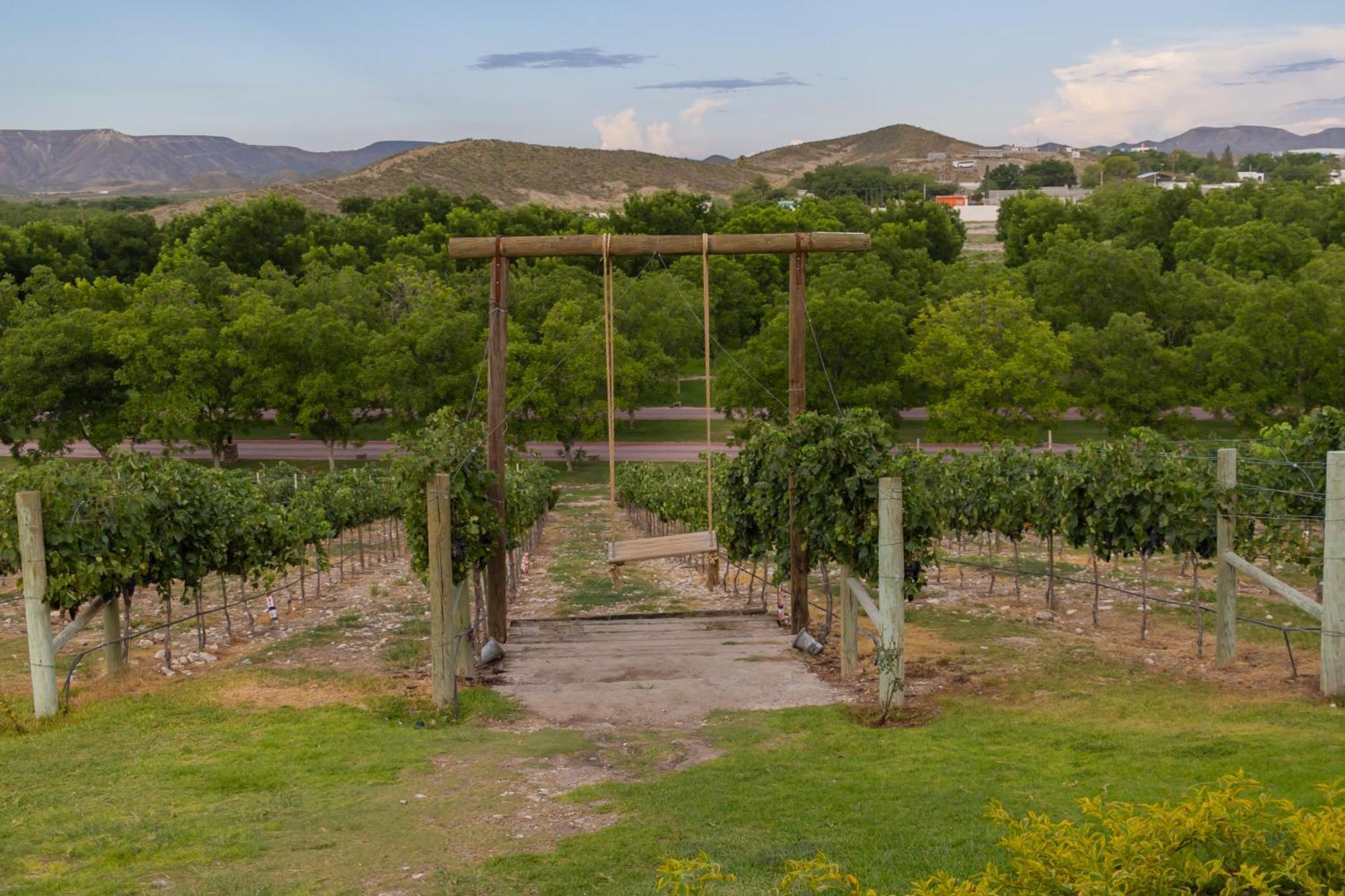 Hotel Vinicola Parvada By Lumina Parras de la Fuente Eksteriør bilde