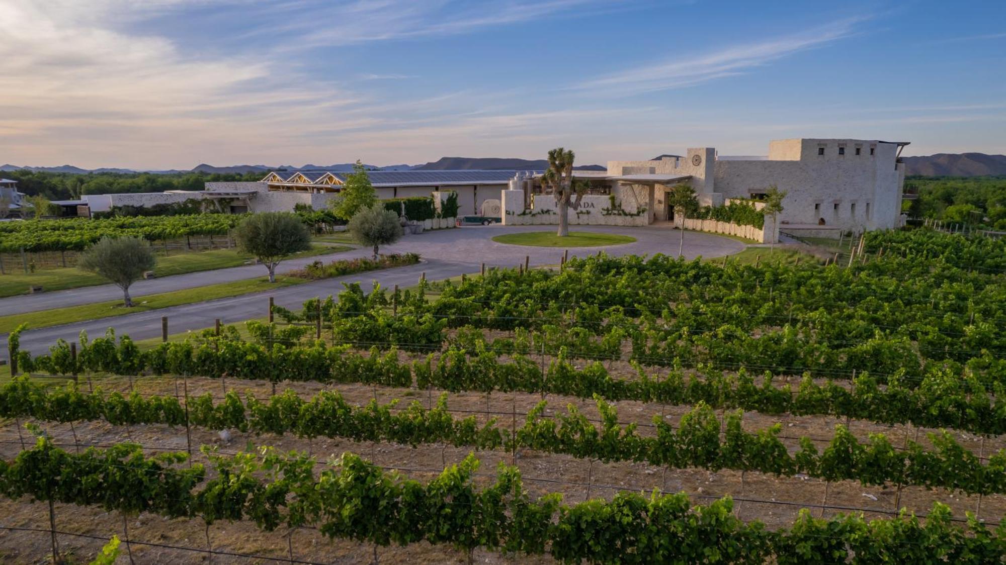 Hotel Vinicola Parvada By Lumina Parras de la Fuente Eksteriør bilde