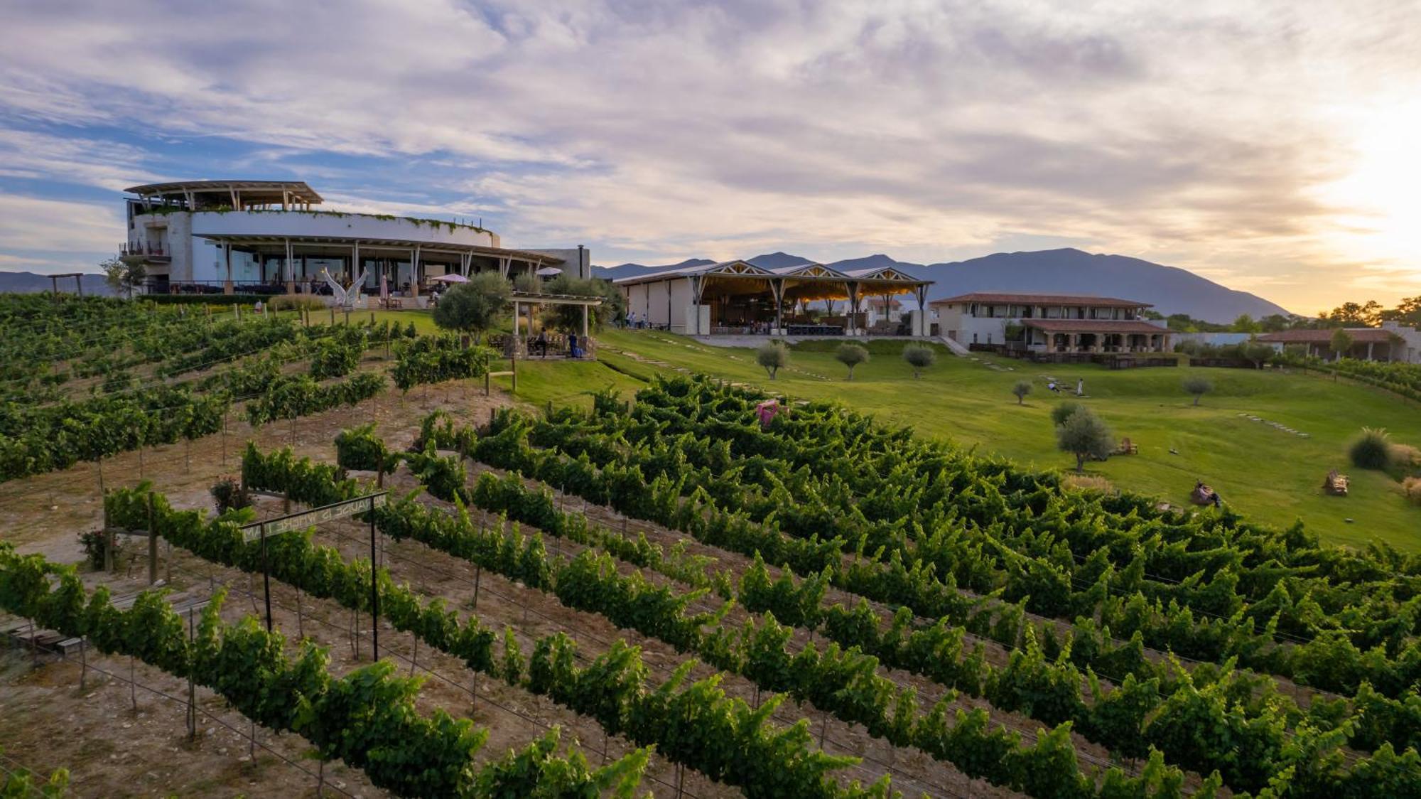 Hotel Vinicola Parvada By Lumina Parras de la Fuente Eksteriør bilde